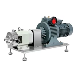 Insulated Rotor Pump