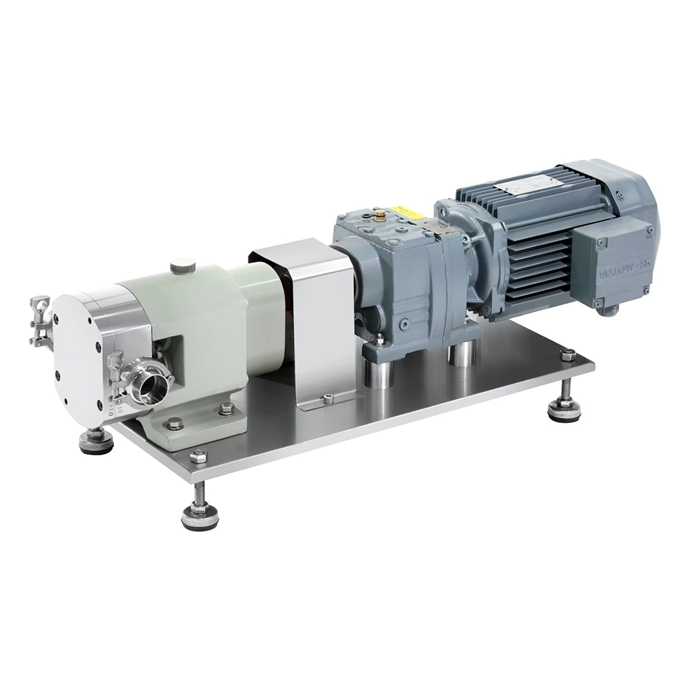 Rotor Pump